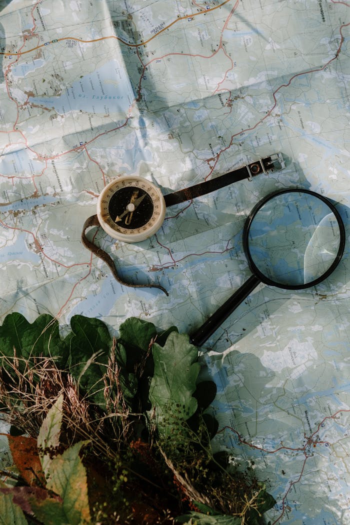 A compass and magnifying glass on a map with leaves. Perfect for travel or exploration themes.