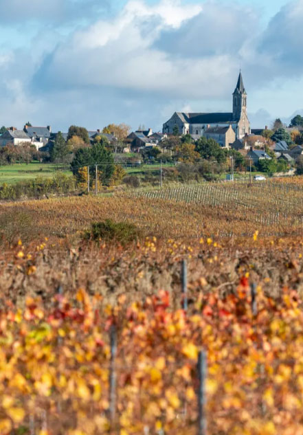 Xploria - Chasse au trésor géante en anjou